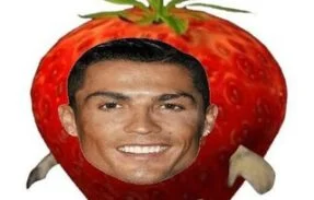 Memes Todos os dias