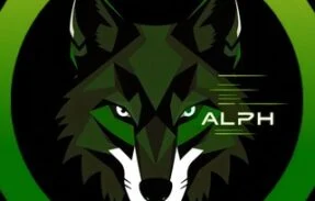 Alpha Team [FREE] 🐺⚽️🏀