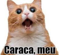 Figurinhas e Memes