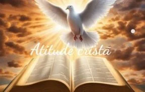 🕊️ 𝐀𝐓𝐈𝐓𝐔𝐃𝐄 𝐂𝐑𝐈𝐒𝐓Ã ♡゙