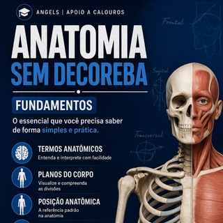 Descomplica Anatomia 📚