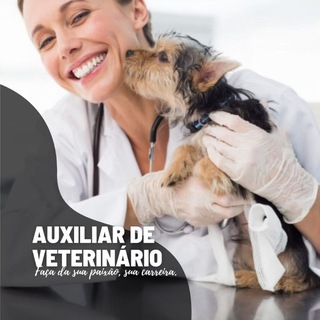 Como si torna um auxiliar veterinário de sucesso